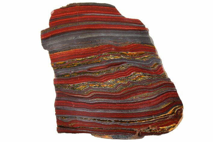 Polished Tiger Iron Stromatolite - Billion Years #129442